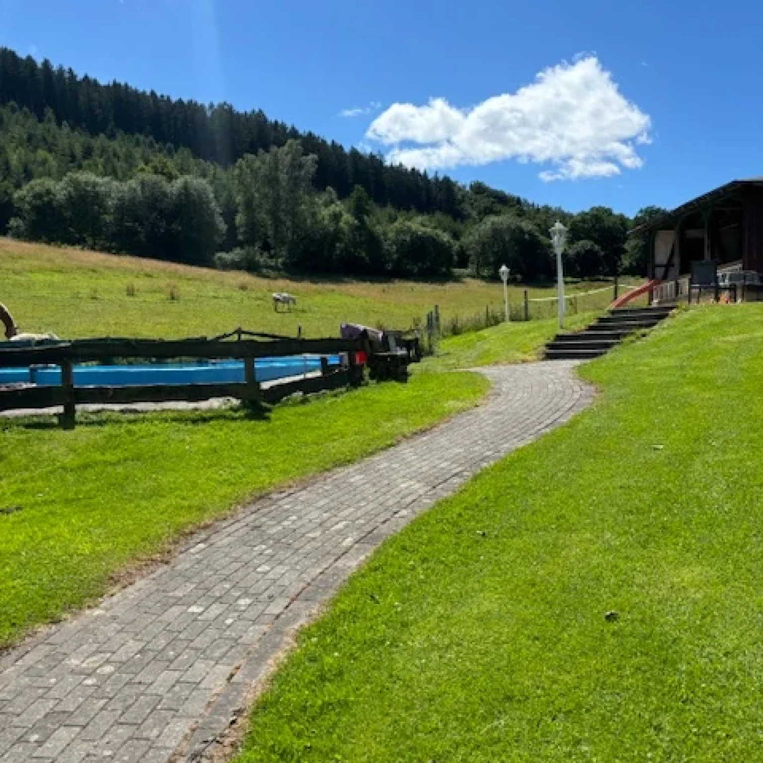 Ein gepflasterter Weg auf dem Pony- und Ferienhof Gut Habbecke mit grünem Rasen und einem Pool.